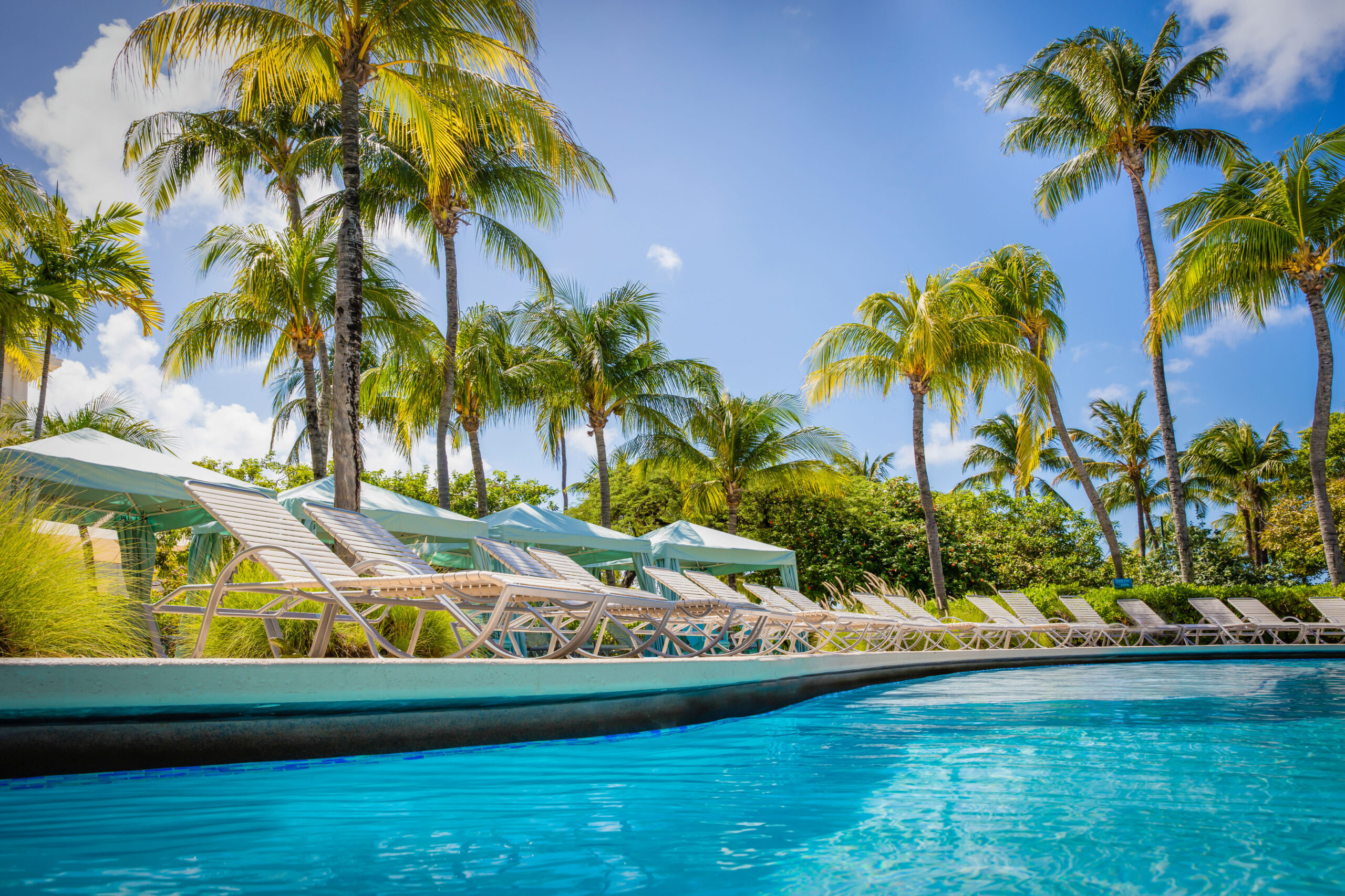 Lounge chairs and umbrellas line the edge of a clear blue swimming pool, surrounded by tall palm trees under a bright, sunny sky.