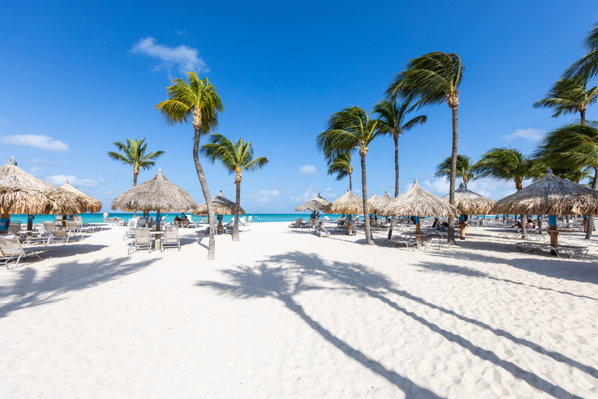 White sandy beach with palm trees and thatched umbrellas, lounge chairs scattered around, and a bright blue sky with a few clouds. The turquoise ocean is visible in the background.