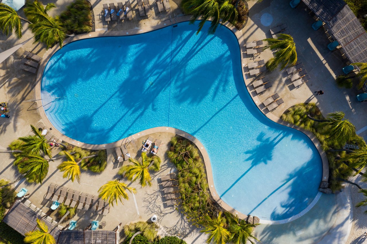 Aerial view of a large, curvy swimming pool surrounded by palm trees, lounge chairs, and people relaxing in the sun at a resort. The bright blue water contrasts with the tan pool deck.