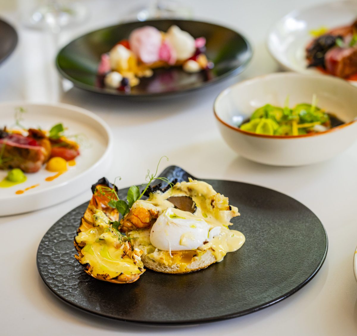 A black plate holds a poached egg on English muffin with hollandaise sauce, garnished with greens. Surrounding plates contain colorful, artfully presented dishes on a white table.