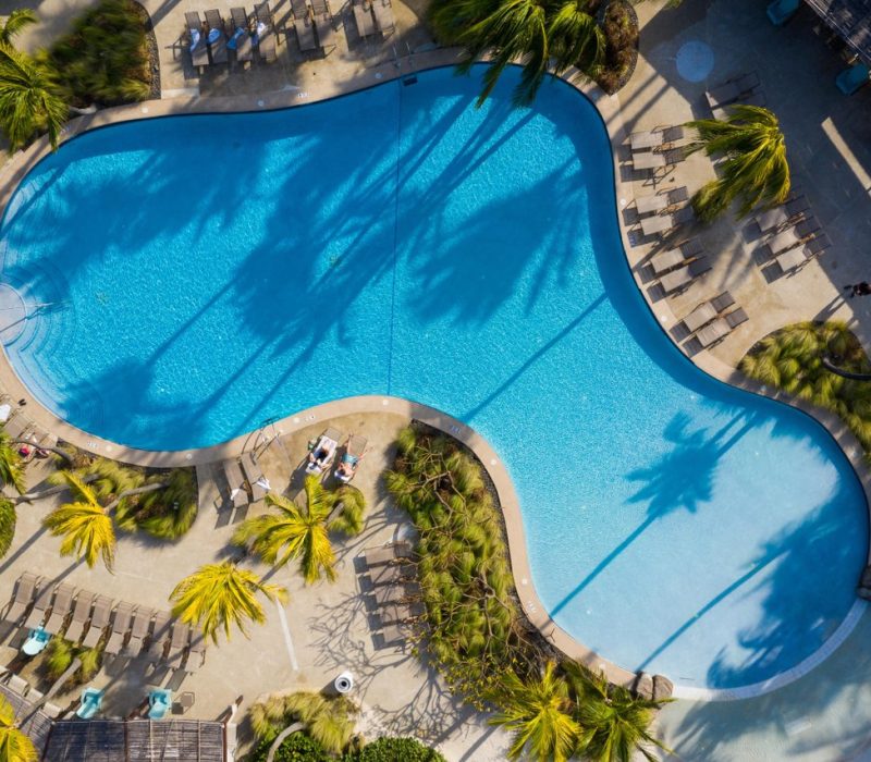 Aerial view of a large, curvy swimming pool surrounded by palm trees, lounge chairs, and people relaxing in the sun at a resort. The bright blue water contrasts with the tan pool deck.