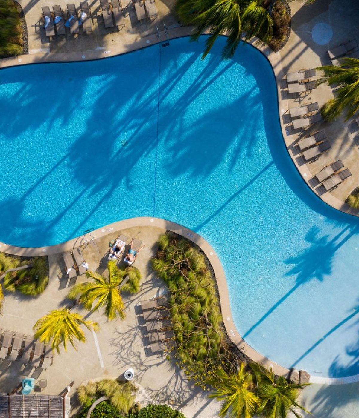 Aerial view of a large, curvy swimming pool surrounded by palm trees, lounge chairs, and people relaxing in the sun at a resort. The bright blue water contrasts with the tan pool deck.