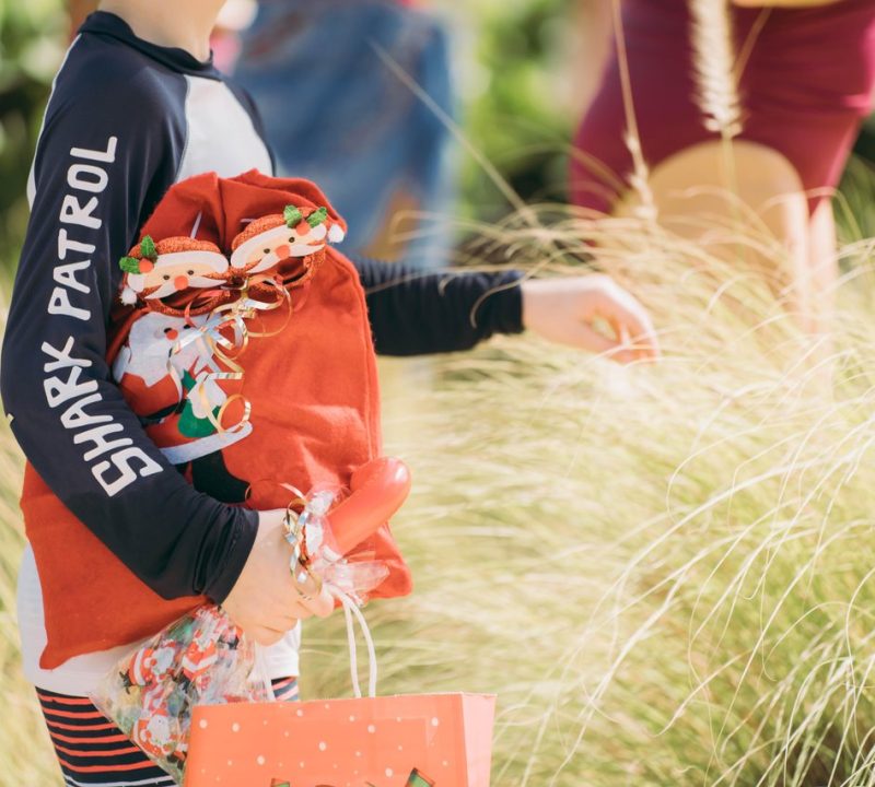 A child wearing a "SHARK PATROL" shirt holds a red bag filled with festive holiday decorations, standing among tall grass in bright, natural light.